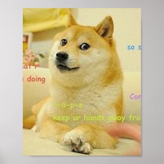 Doge Meme Poster (Voorkant)