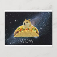 doge space taco meme