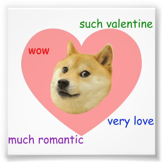 Doge Veel Valentijnsdag Zulke Romantische liefde Foto Afdruk (Voorkant)