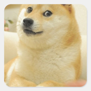 Doge Vierkante Sticker