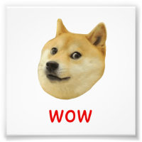 Doge zeer veel doet zo'n sjiibe schip binnen in de