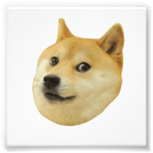 Doge zeer veel doet zo'n sjiibe schip binnen in de foto afdruk (Voorkant)