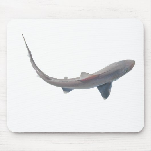 Dogfish Shark Baby Mousepad Muismat (Voorkant)