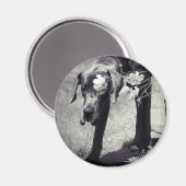 Dogge Balu Magneet (Voorkant / Achterkant)