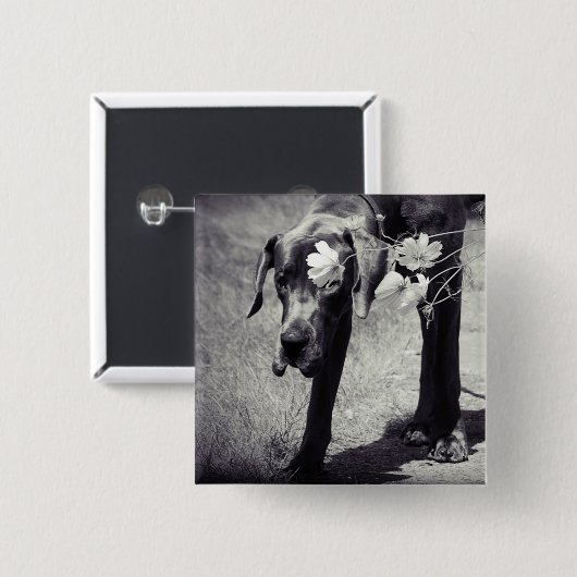 Dogge Balu Vierkante Button 5,1 Cm (Voorkant /achterkant)