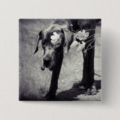 Dogge Balu Vierkante Button 5,1 Cm (Voorkant)