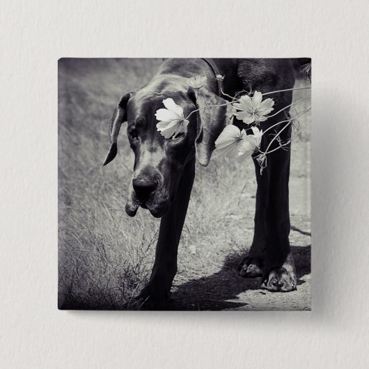 Dogge Balu Vierkante Button 5,1 Cm (Voorkant)