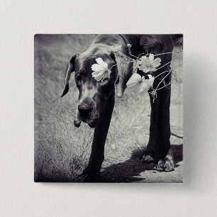 Dogge Balu Vierkante Button 5,1 Cm