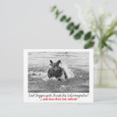 Dogge: der Hund für Geheimagenten  Briefkaart (Staand voorkant)