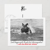 Dogge: der Hund für Geheimagenten  Briefkaart (Voorkant / Achterkant)