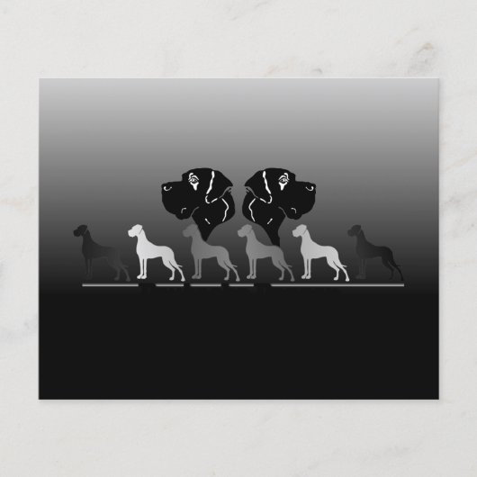 Doggen flyer (Voorkant)