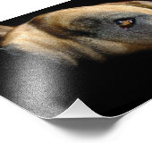 Doggenauge Foto Afdruk (Hoek)