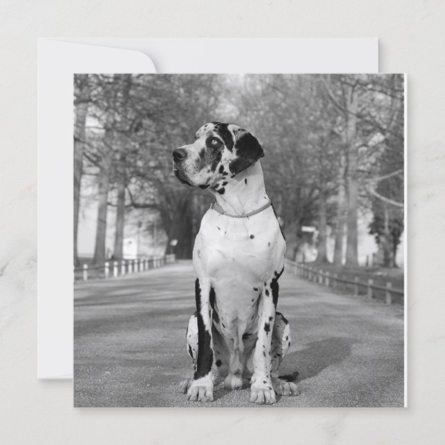 Doggenhaus (Voorkant)