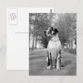 Doggenhaus Briefkaart (Voorkant / Achterkant)