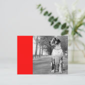 Doggenhaus Briefkaart (Staand voorkant)