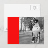 Doggenhaus Briefkaart (Voorkant / Achterkant)