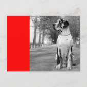 Doggenhaus Briefkaart (Voorkant)