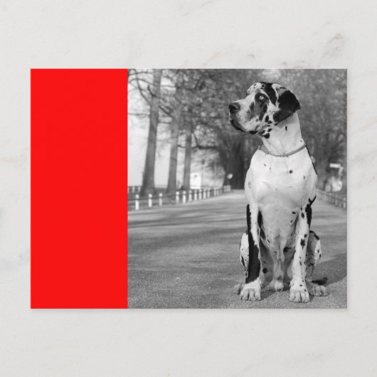 Doggenhaus Briefkaart (Voorkant)