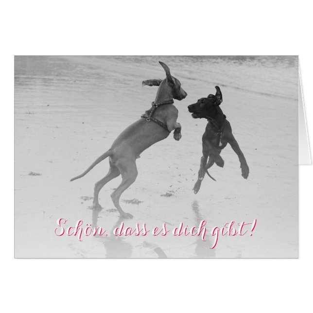 Doggenkarte "Schön" (Voorkant Horizontaal)