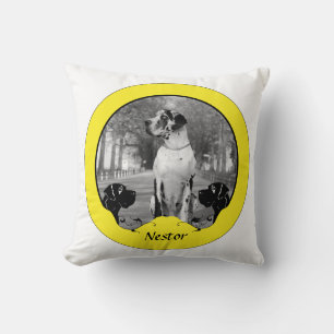 Doggenkissen extra kussen