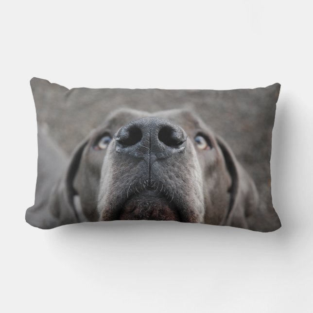 Doggennase Kissen Kussen (Voorkant)
