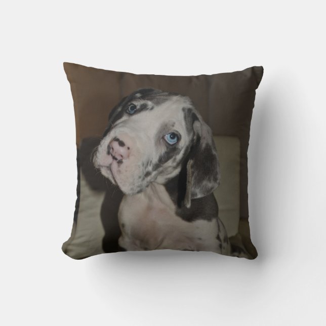 Doggenwelpe Kissen Kussen (Voorkant)