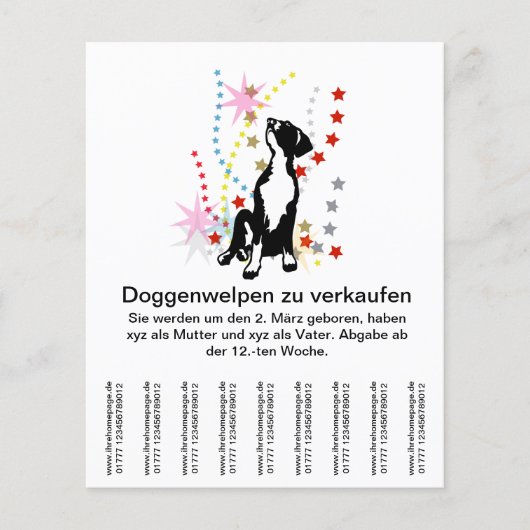 Doggenwelpen zu verkaufen? flyer (Voorkant)