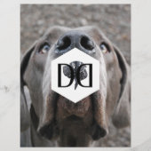 Doggenzucht Inventar Flyer (Voorkant)