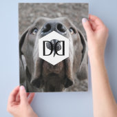 Doggenzucht Inventar Flyer (Hand)