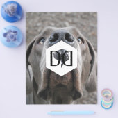 Doggenzucht Inventar Flyer (Enkel)