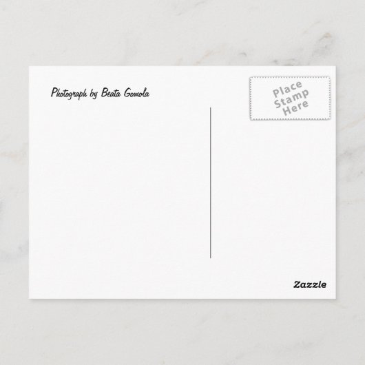 Doggie Briefkaart (Achterkant)