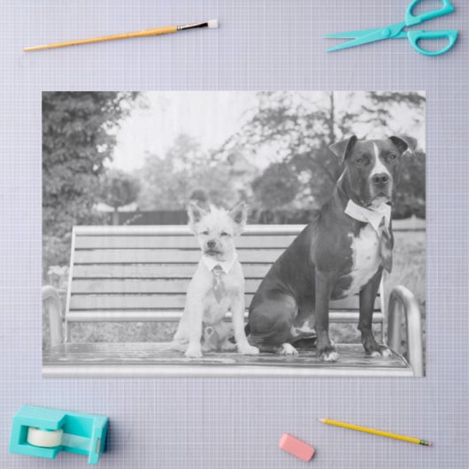 Doggie bruiloft tissuepapier (Craft)