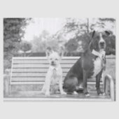 Doggie bruiloft tissuepapier (Voorkant)