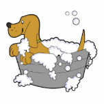 Doggie Bubble Bath Staand Fotobeeldje<br><div class="desc">Deze fotosculptuur is van een tekenfilmhond in een bubbelbad. Het is gemaakt van acryl met een zwarte standaard,  het is een geweldig gespreksstuk. De definitieve grootte is benaderend en hangt van besnoeiingsgrootte van afbeelding af.</div>