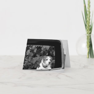 Doggie in de Kaart van de Nota van het Venster