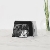 Doggie in de Kaart van de Nota van het Venster (Voorkant)