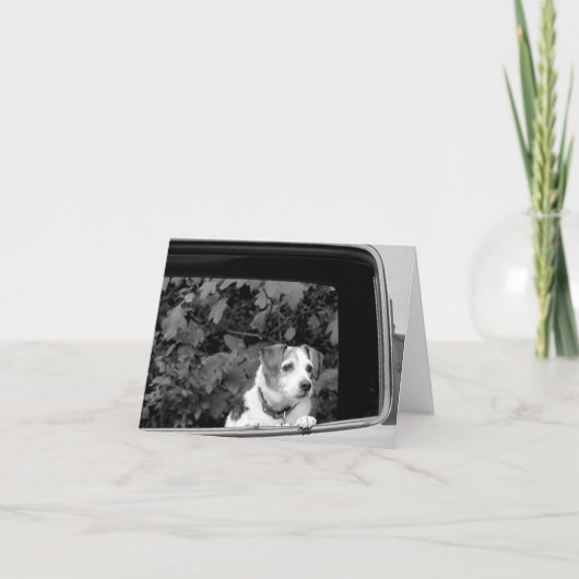 Doggie in de Kaart van de Nota van het Venster (Voorkant)