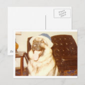 Doggie_Pet Briefkaart (Voorkant / Achterkant)