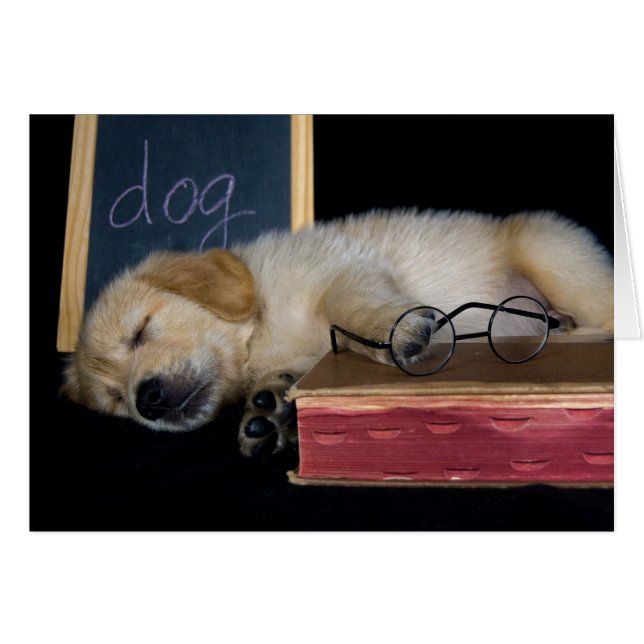 Doggie School (Voorkant Horizontaal)