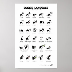 DOGGIE-TAAL Groot Poster