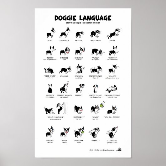 DOGGIE-TAAL Groot Poster (Voorkant)