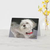 Doggie Wenskaart Kaart (Gele Bloem)