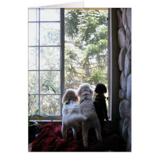 Doggies in het venster