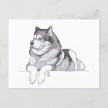 Doggust 2019 Alaskan Malamute Briefkaart