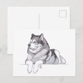 Doggust 2019 Alaskan Malamute Briefkaart (Voorkant / Achterkant)