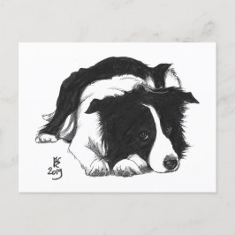 Doggust 2019 Border Collie Briefkaart