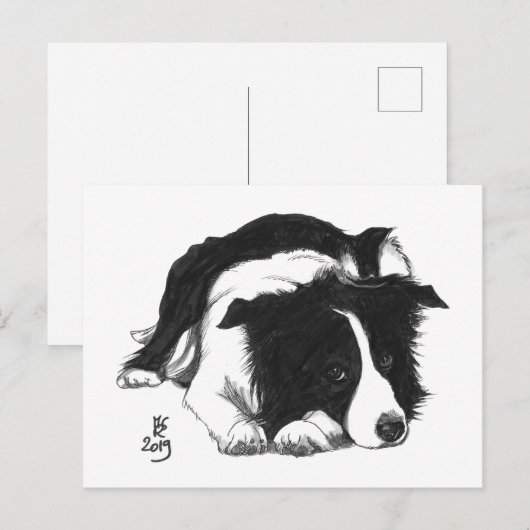 Doggust 2019 Border Collie Briefkaart (Voorkant / Achterkant)