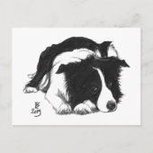 Doggust 2019 Border Collie Briefkaart (Voorkant)