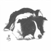 Doggust 2019 Border Collie vierkante sticker (Voorkant)