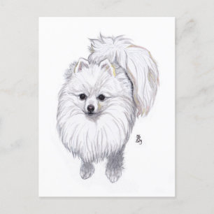 Doggust 2019 Pommeren Briefkaart